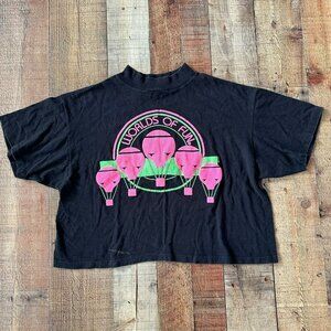 Rags to Riches Vintage Worlds of Fun Oversized Boxey Short Sleeve Cropped Tee